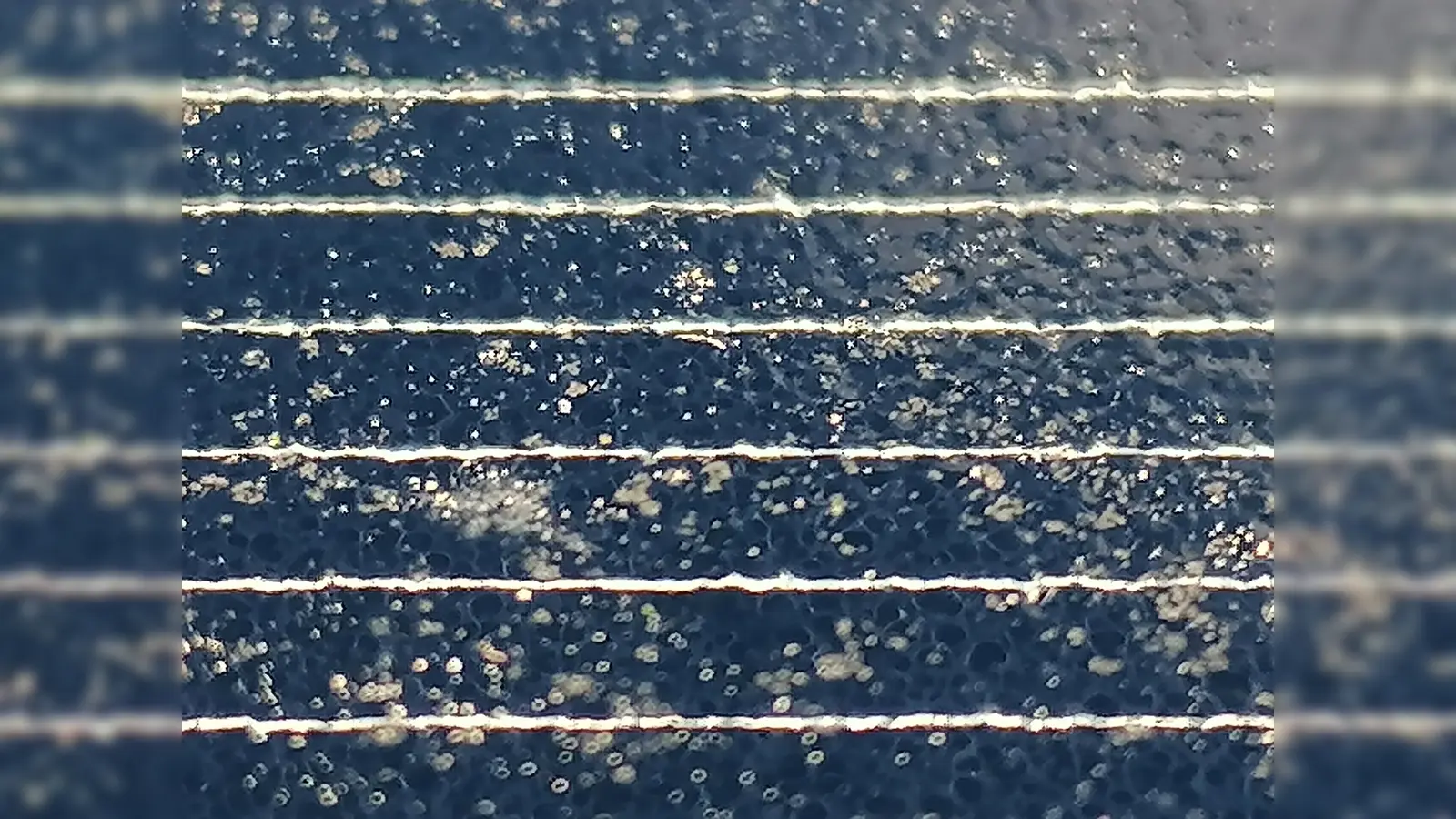 Ein Solarmodul. Bereits seit Mitte 2022 gelten höhere Vergütungssätze für Strom aus Anlagen, die seitdem in Betrieb genommen wurden. (Foto: Johannes Beetz)