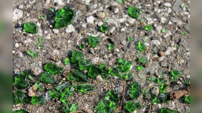 Scherben kennzeichneten den Weg der Vandalen in Freising wie bei einer Schnitzeljagd. (Foto: Symbolbild Pixabay)