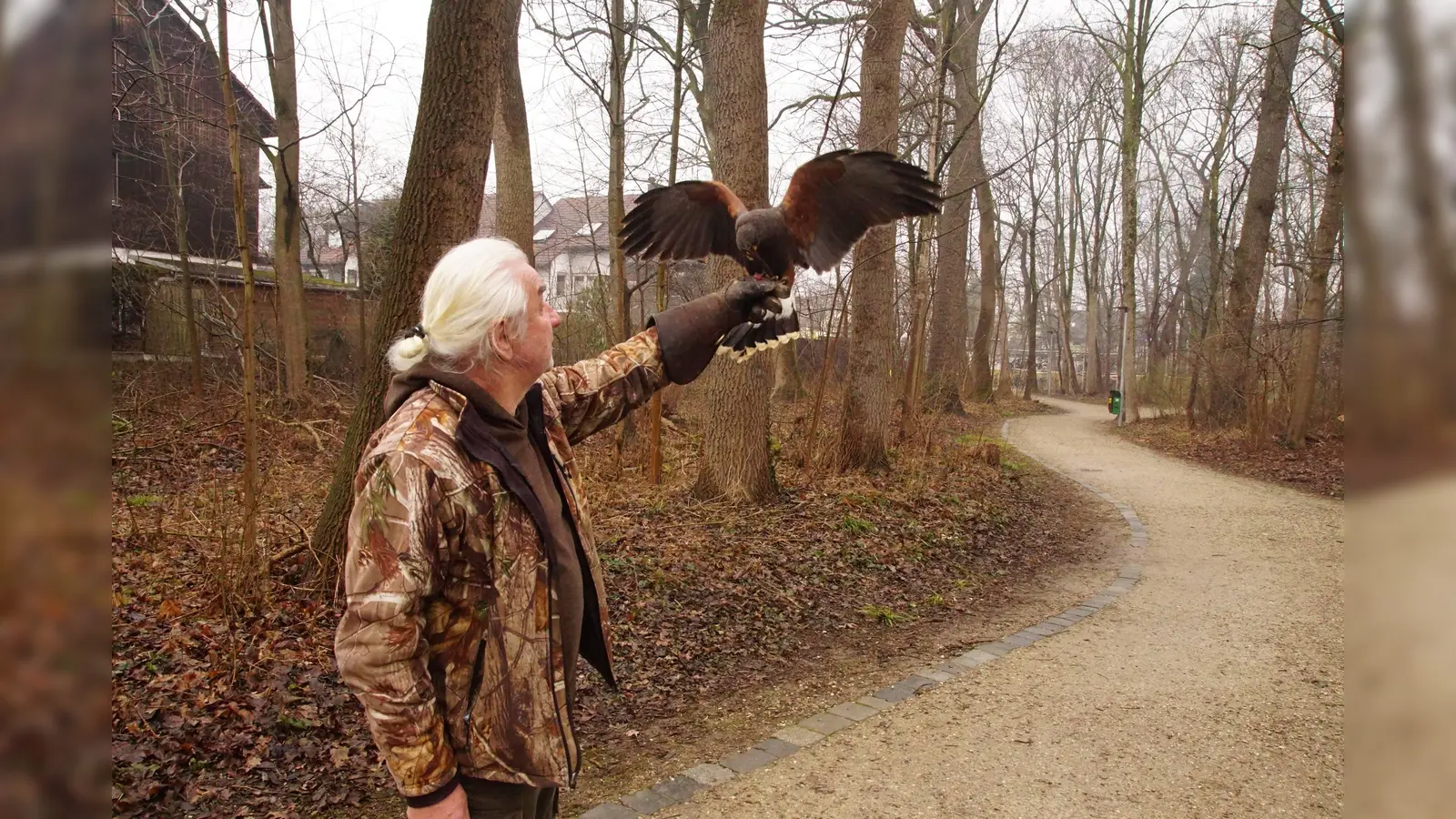 Gonzo wurde von Leo von Hand aufgezogen und folgt wie einbraver Hund: auf Zuruf landet er auf dem Handschuh des Falkners. (Foto: bro)