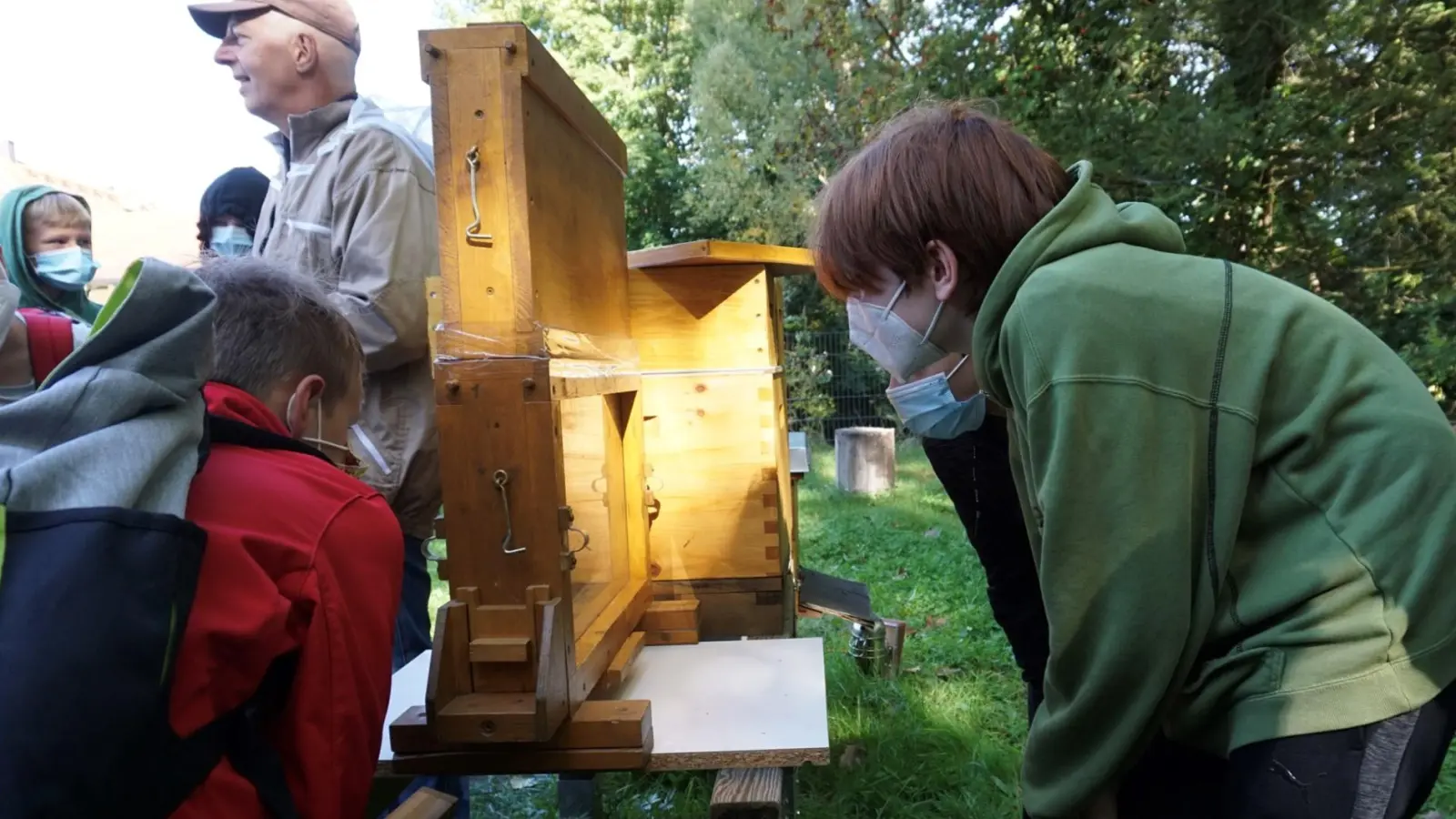 In einem Schaukasten konnten die Schüler*innen die Bienen und ihre Hierarchien genau beobachten. (Foto: Anne-Frank-Gymnasium)