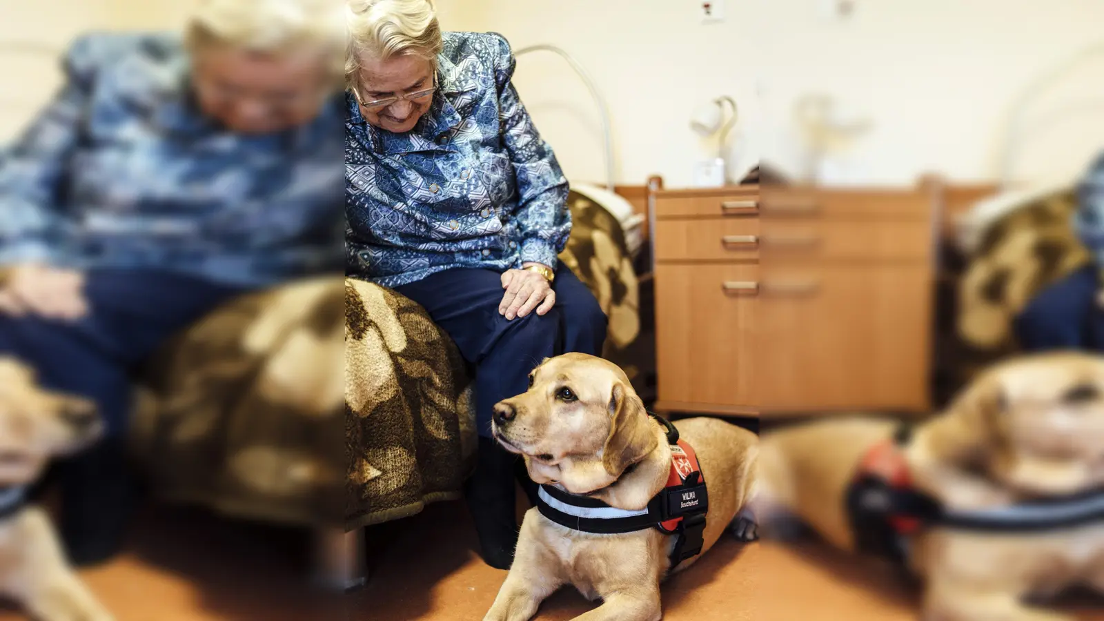 Der Malteser-Besuchsdienst mit Hund kommt bei den Senioren sehr gut an. (Foto: Anna Thut - Malteser)