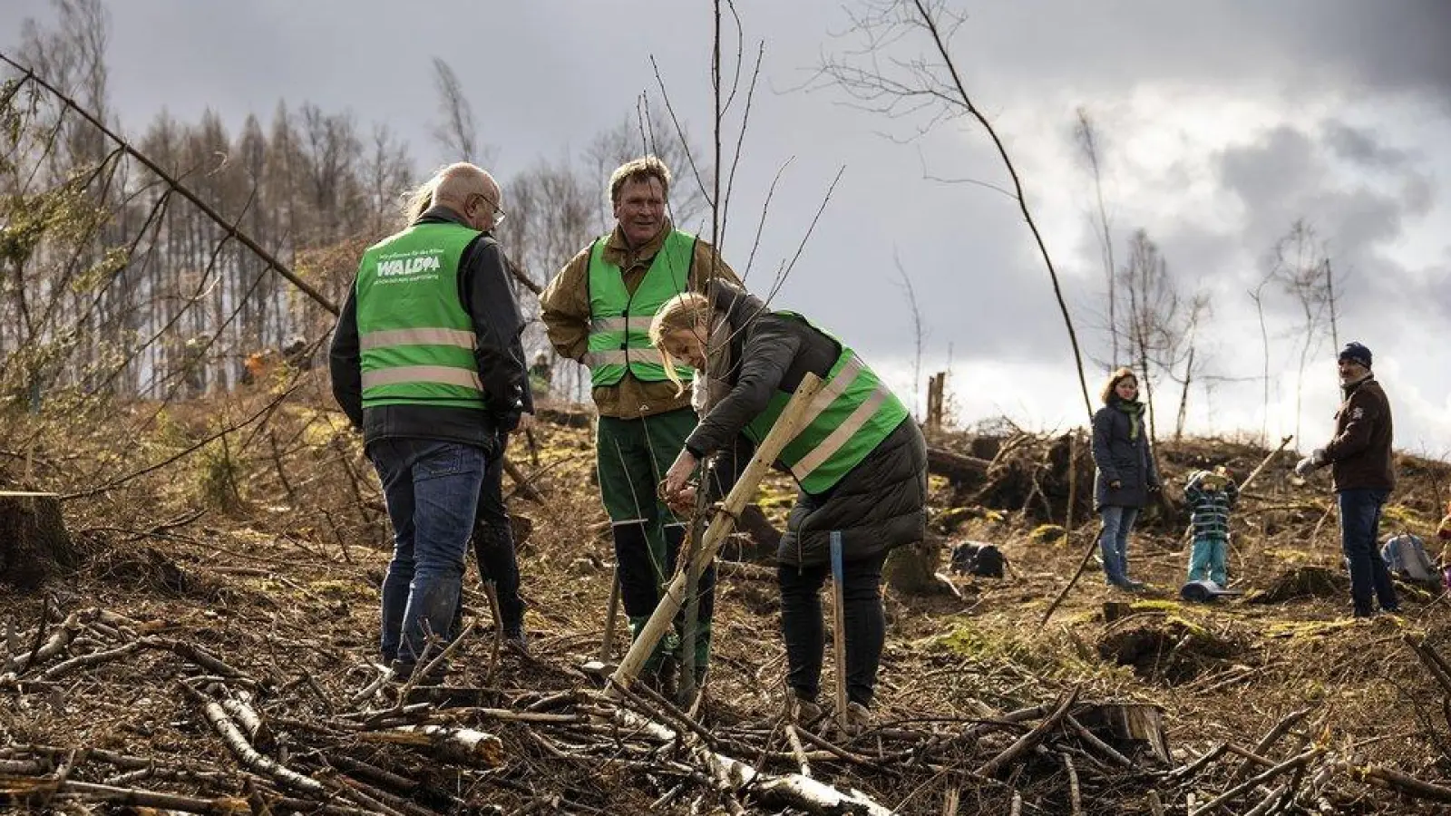 Bürgerinnen und Bürger können persönlich aktiv werden, wenn es um die Pflanzung klimastabiler Mischwälder geht.  (Foto: PEFC Deutschland/sabrinity)