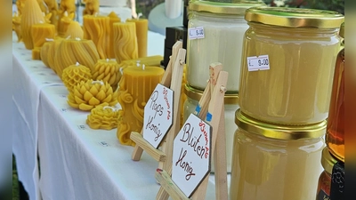 Viele Honigprodukte standen beim Aktionsnachmittag zum Verkauf. (Foto: Privat)