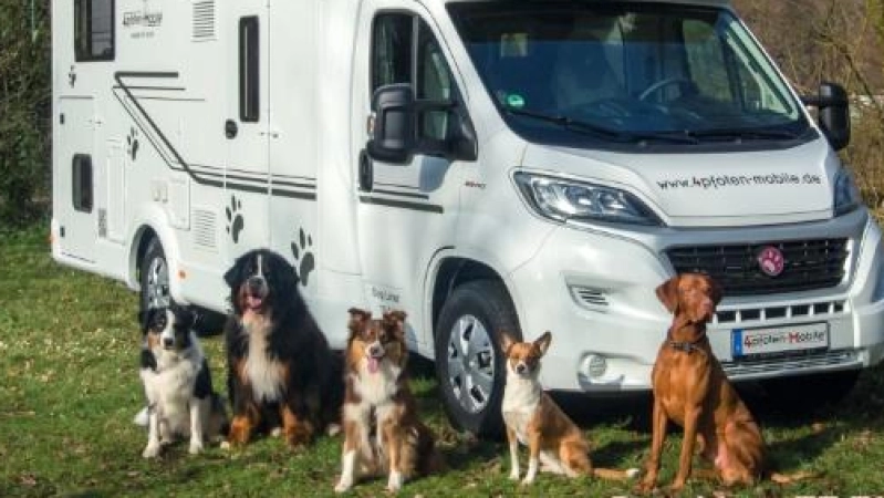 Platz und Komfort für Hund und Herrchen bieten die DOG Liner. (Foto: 4pfoten-mobile)