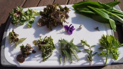 Kräuter eignen sich nicht nur als Pesto oder für den Salat, sondern auch als Topping für Suppen und als schmackhafter Brotbelag.  (Foto: hw)