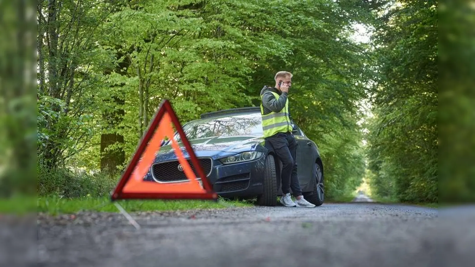 Die Gefahr eines Wildunfalls besteht ganzjährig, zur Brunftzeit im Herbst ist sie allerdings besonders hoch. (Foto: djd/Itzehoer Versicherungen)