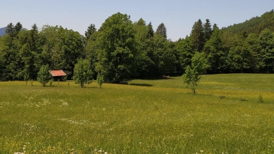 Gesucht: Landwirte zur Pflege von Naturschutzflächen! (Foto: Stefan Dohl/Symbolbild)
