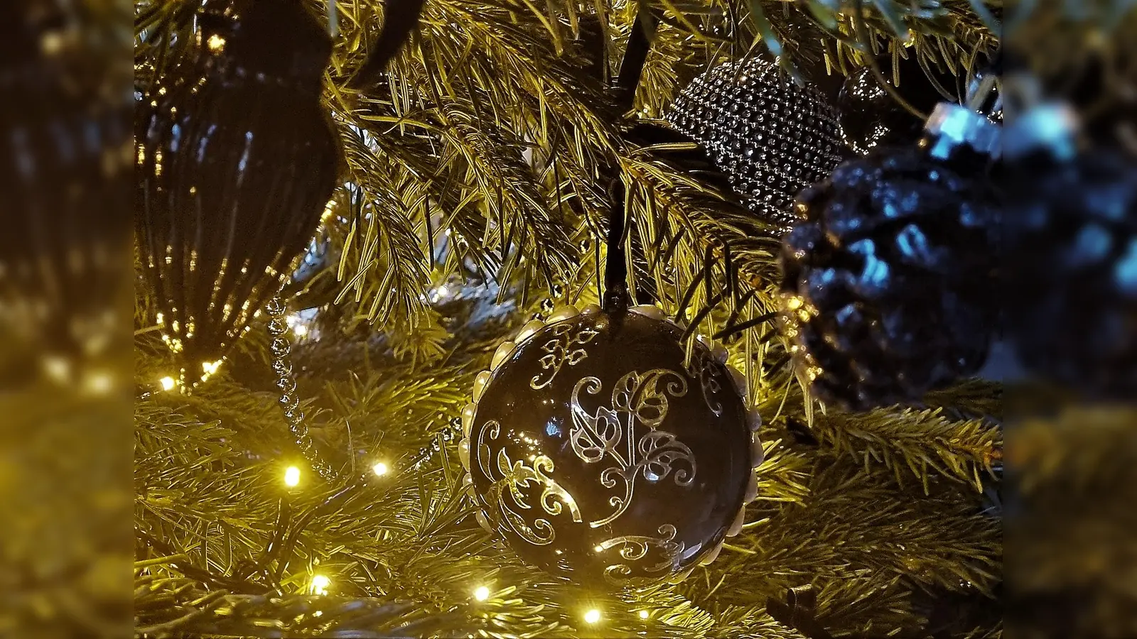 Nur schmücken muss man den ersteigerten Christbaum dann noch selber. (Foto: chk)