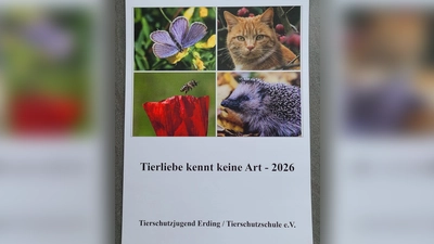 Ab sofort erhältlich: Der Jahreskalender des Tierschutzvereins. (Foto: Tierschutzverein)