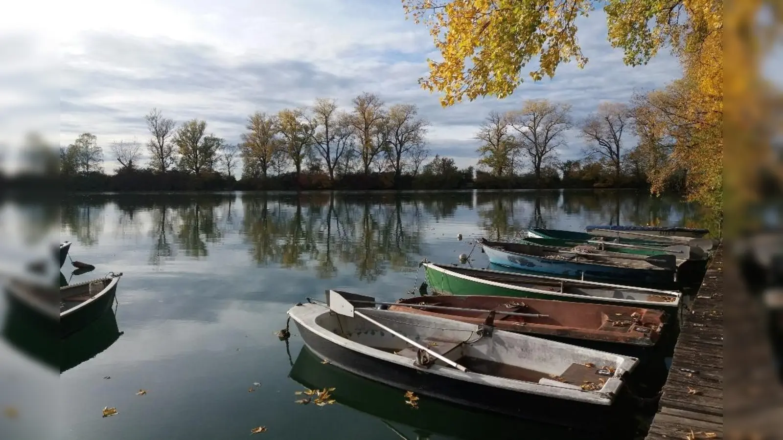 Nicht nur im Sommer ist der Thenner Weiher einen Besuch wert. (Foto: H. Schweiger)