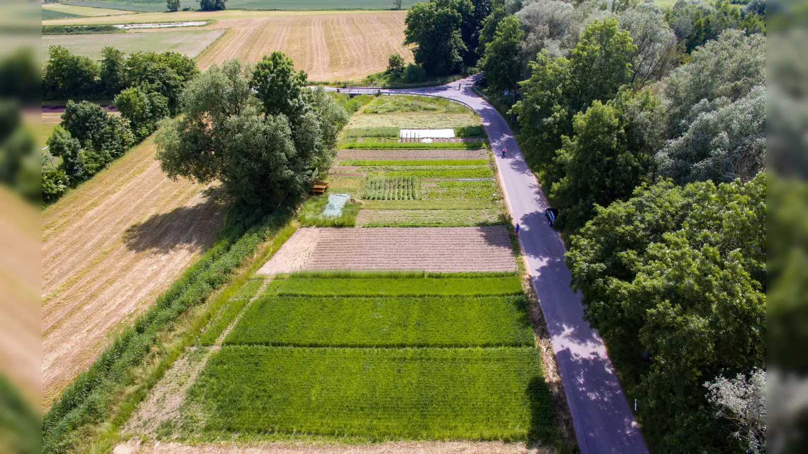 Interessante Exkursion zum "Weltacker" bei Landshut-Schönbrunn mit Vorstellung des Konzeptes.  (Foto: Heinrich Inkoferer)