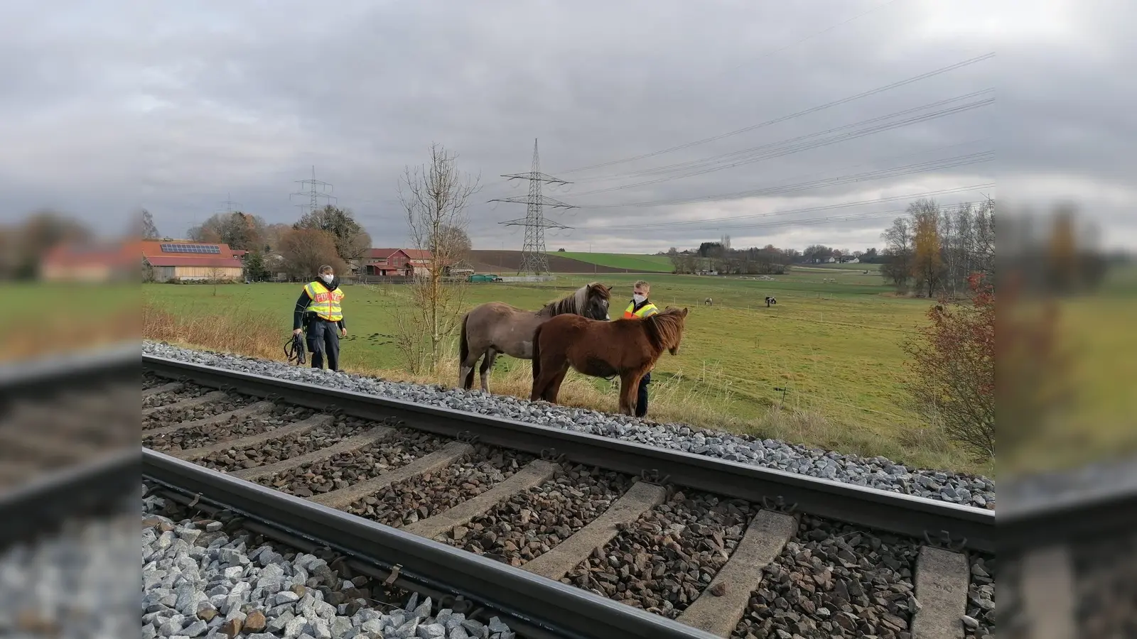 Echte Pony-Sturköpfe und nicht von der Stelle zu bewegen, bis die Besitzerin kam. (Foto: Bundespolizei)