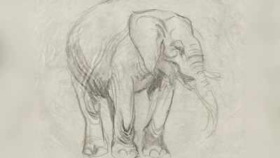 Dieser Elefant aus dem Skizzenbuch Franz Xaver Stahls entstand um 1921. (Foto: Museum Franz Xaver Stahl)