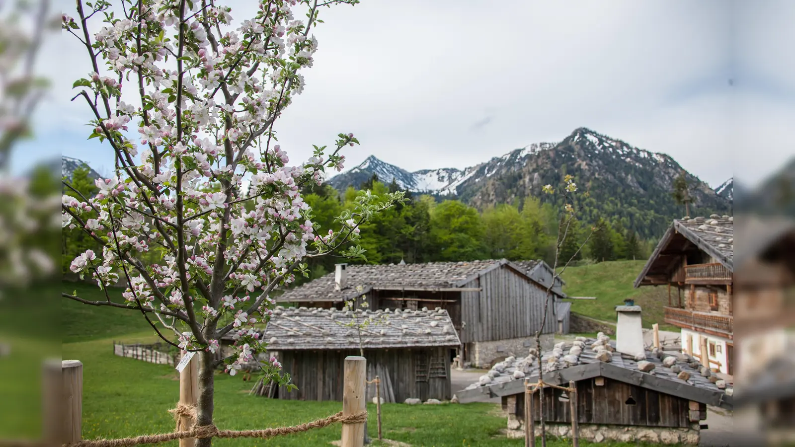 Der Frühling steht vor der Tür. Im Museumsdorf startet die Saison. (Foto: Markus Wasmeier)