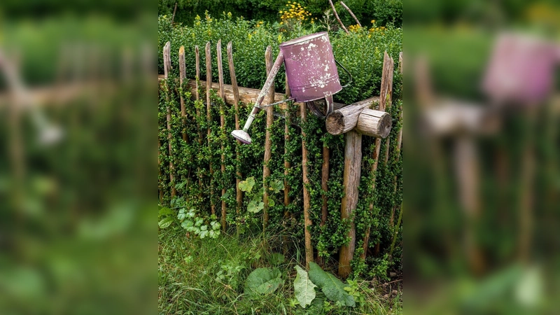 Schwelgen in schönen Fotos kann man ab 17. September in der vhs Vaterstetten. (Foto: Fotoclub Vaterstetten)