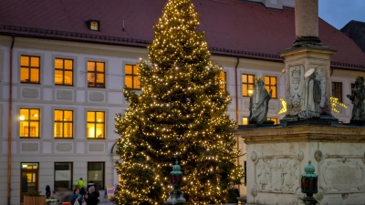 So sah der Freisinger Christbaum 2024 aus. (Foto: Felix Matthey)