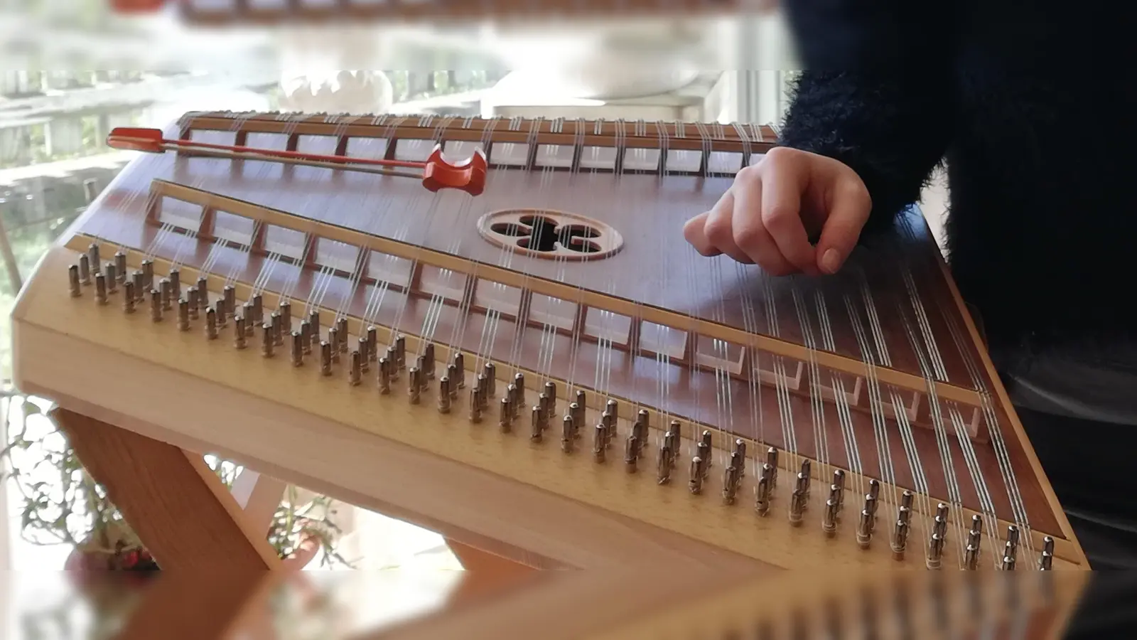 Selina Bichlmaier darf sich aufgrund ihrer Top-Leistung am Hackbrett beim Bundeswettbewerb mit der Konkurrenz messen. (Foto: KMS)