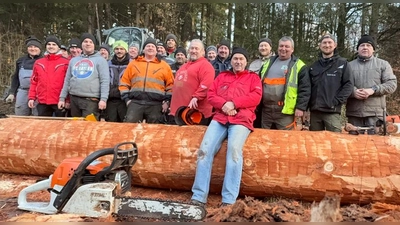 Im Dezember wurde die 44,6-Meter Douglasie im Ebersberger Forst umgelegt. (Foto: Eicherloher Maibaum GbR)