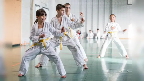 Karateanfängerkurs (Foto:  SC Eching Karate)