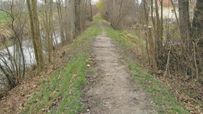 Der alte Deich in Langenpreising. (Foto: Wasserwirtschaftsamt München)