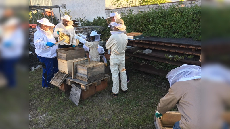 Die Bienenfreunde Erding arbeiten mit und für Honigbienen ebenso wie für Wildbienen. (Foto: Bienenfreunde Erding e.V.)