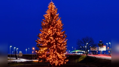 Der Weihnachtsbaum an der Zentralallee stammt 2023 aus dem Landkreis Mühldorf. (Foto: FMG/ATF)