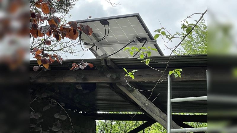 Es muss nicht immer der Balkon sein, auch auf dem Gartenschuppen passen die Solarmodule. (Foto: pst)