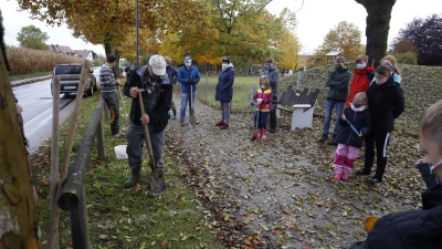 In Wartenberg werden „Groh-Kusse“ gepflanzt – eine Hommage an August Groh, einen der verdientesten Gartler im Landkreis Erding. (Foto: kw)