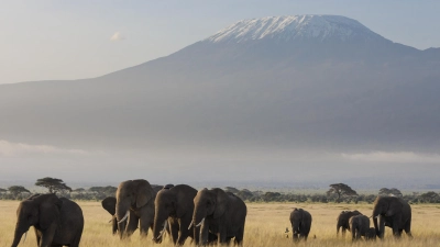 Faszinierende Bilder aus Ostafrika. (Foto: Jutta Ulmer)
