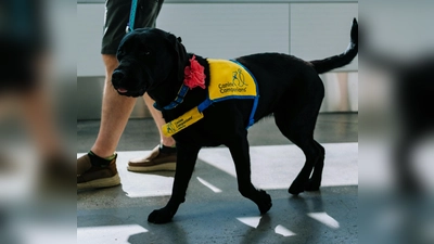 Ein Therapiehund könnte Michaela den Alltag erleichtern. (Foto: J. Thomas)