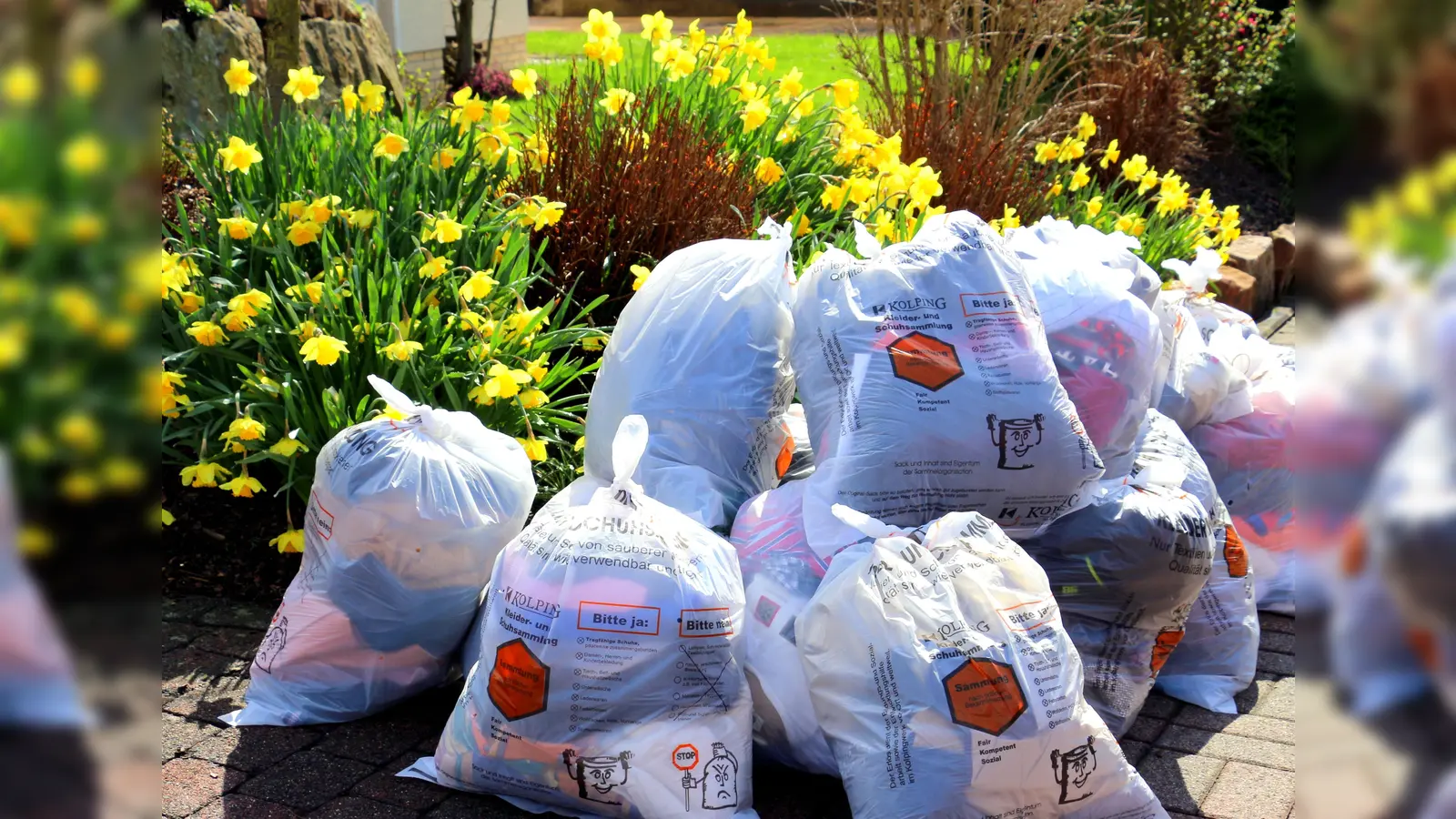 Der Erlös der Sammlung kommt caritativen und sozialen Zwecken zugute. (Foto: Kolping Erding)