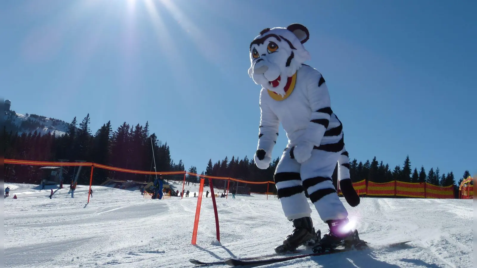 Das DSV-Maskottchen Skitty steht natürlich wie immer für Selfies bereit und wird sich bei den Safety Days auch mal auf Ski zeigen... (Foto: DSV Safety Days)