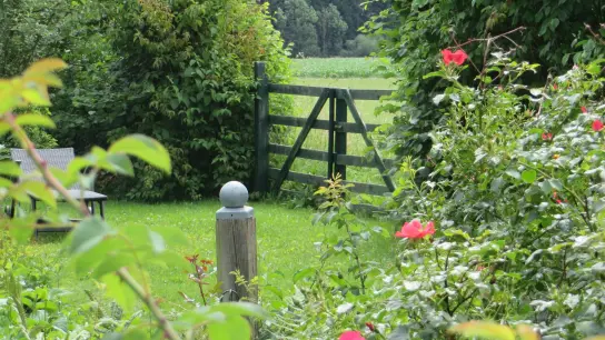 Gartenbesitzer können sich jetzt zum "Tag der offenen Gartentür" melden. (Foto: LRA)