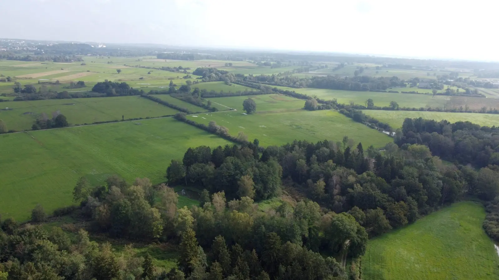 Das Freisinger Moos ist das zweitgrößte Niedermoos in Bayern.Es ist zu 95 Prozent trockengelegt und soll jetzt durch Aufstauen der Gräben wieder vernässt werden. (Foto: bro)