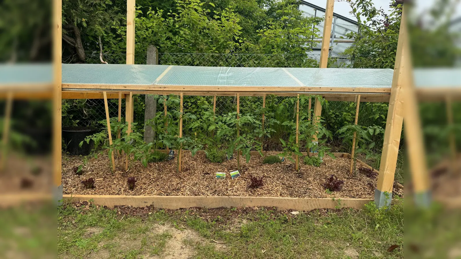 Ab jetzt kommt das Gemüse frisch aus dem Garten. (Foto: Bürgerstiftung im Landkreis Erding)